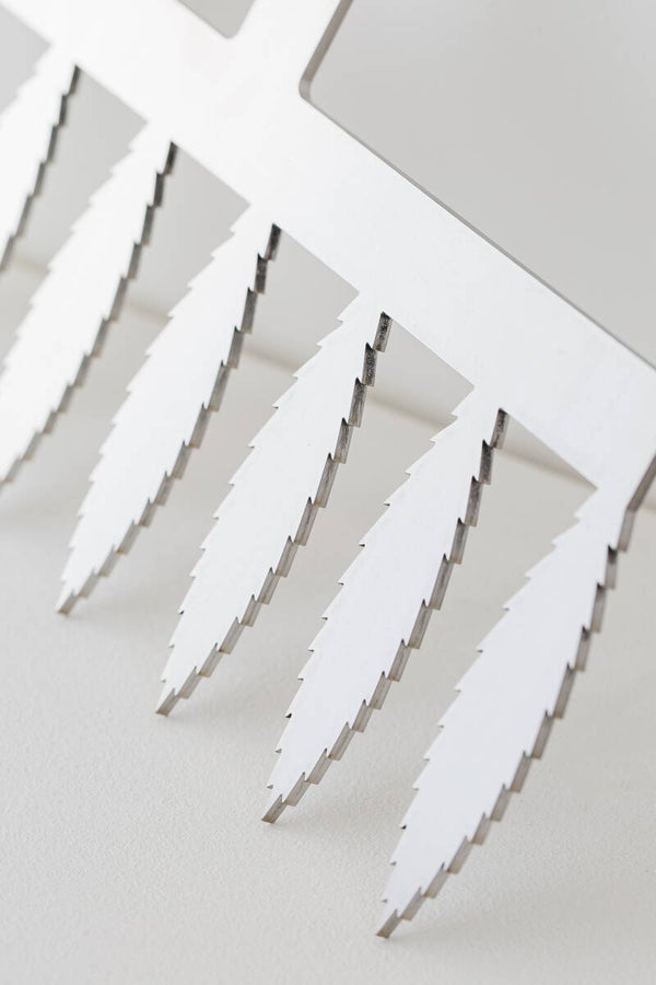 Comb Feather