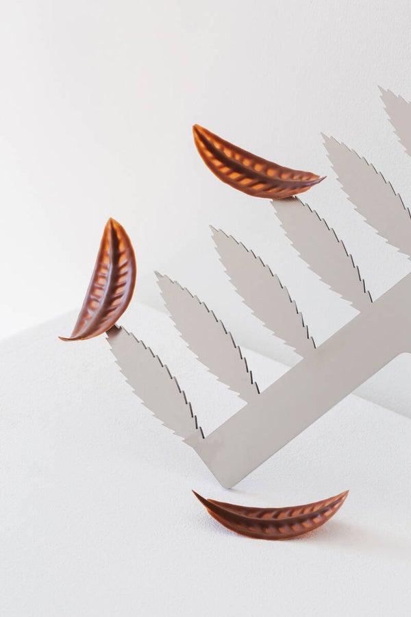 Comb Feather