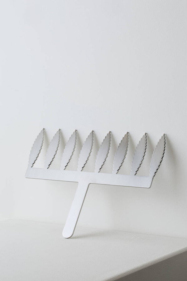 Comb Feather