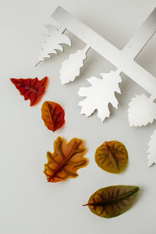 Comb Autumn