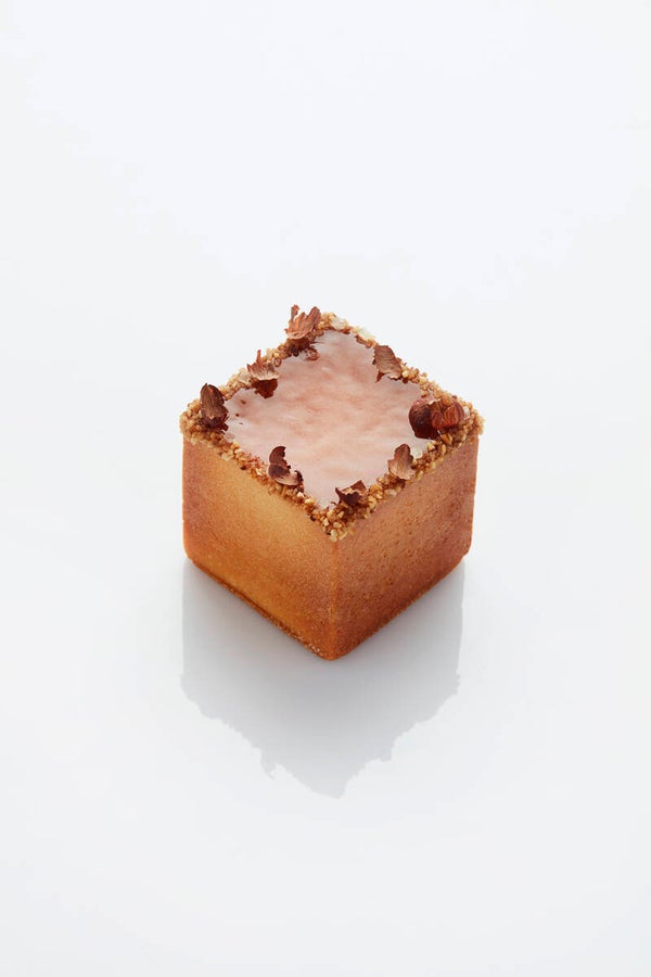 Travel Cake Cube