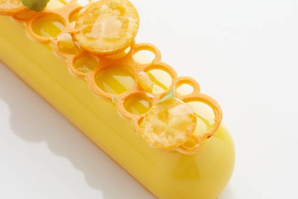 Silicone Circles Eclair
