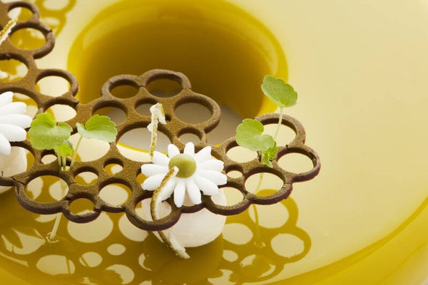 Silicone Circles Cake