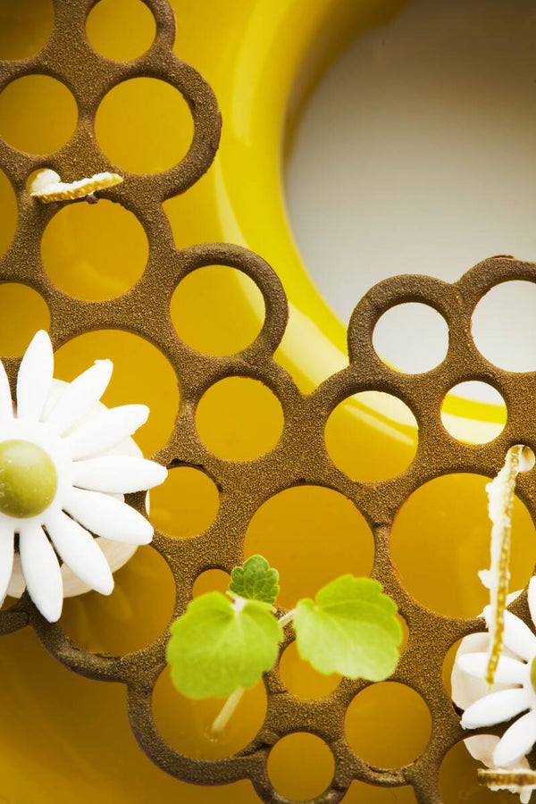 Silicone Circles Cake