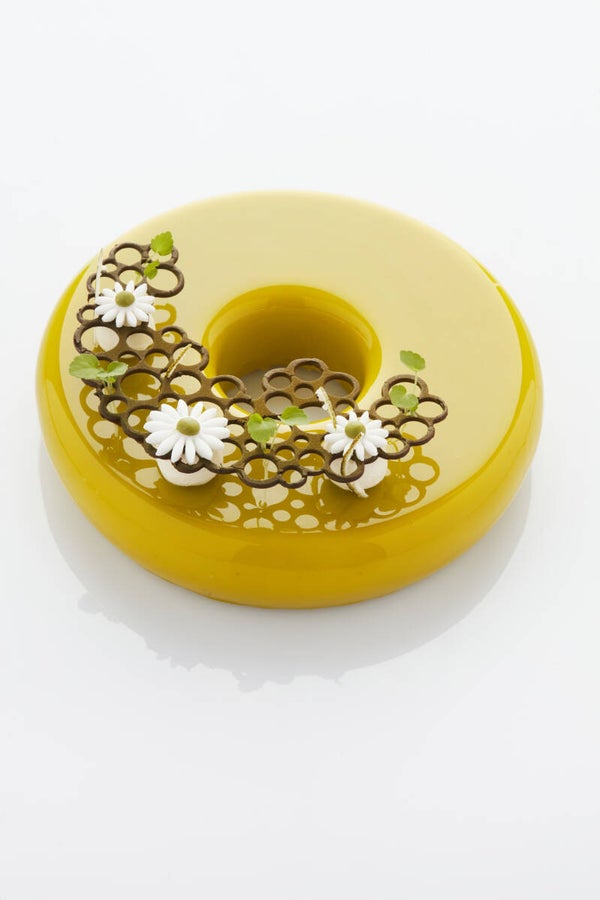 Silicone Circles Cake